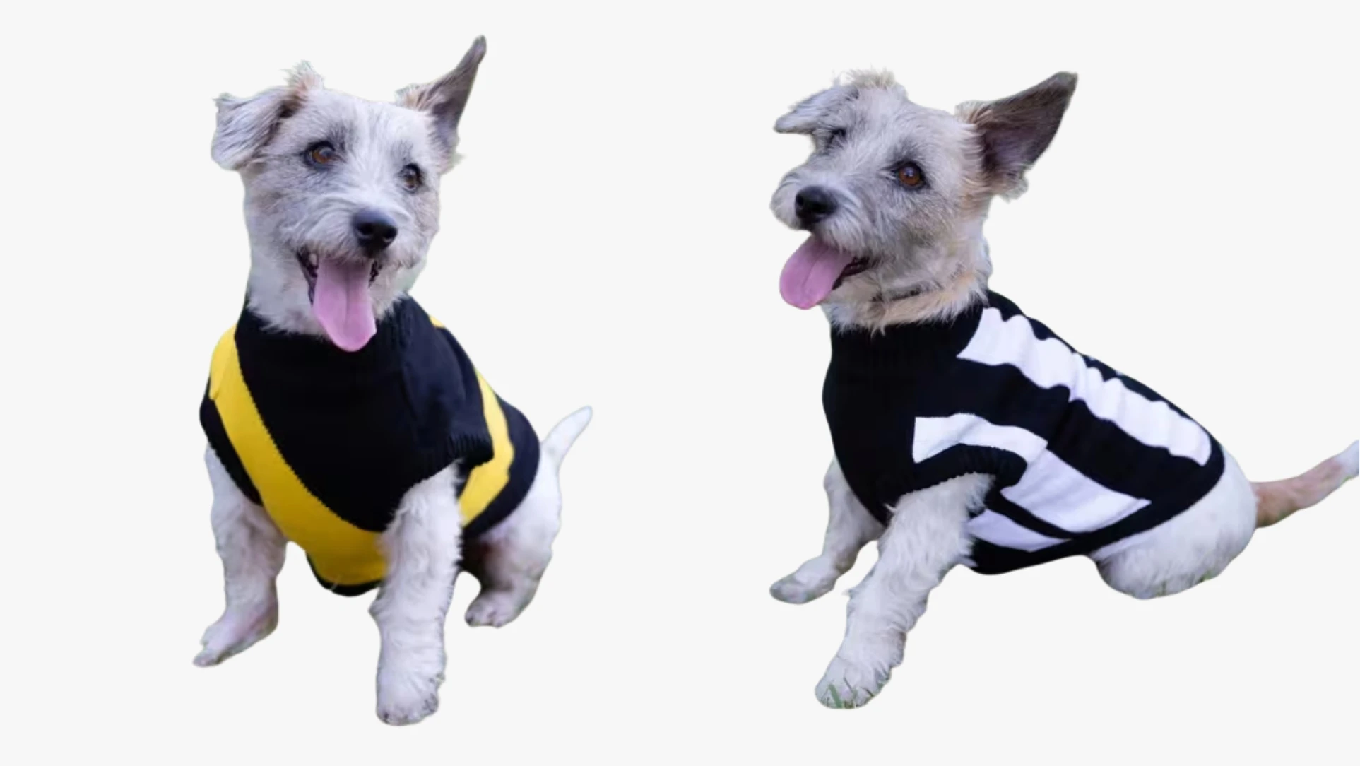 Pets Half Banner.jpg