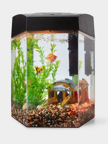 pet fish aquarium se