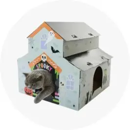 Cat Scratcher H