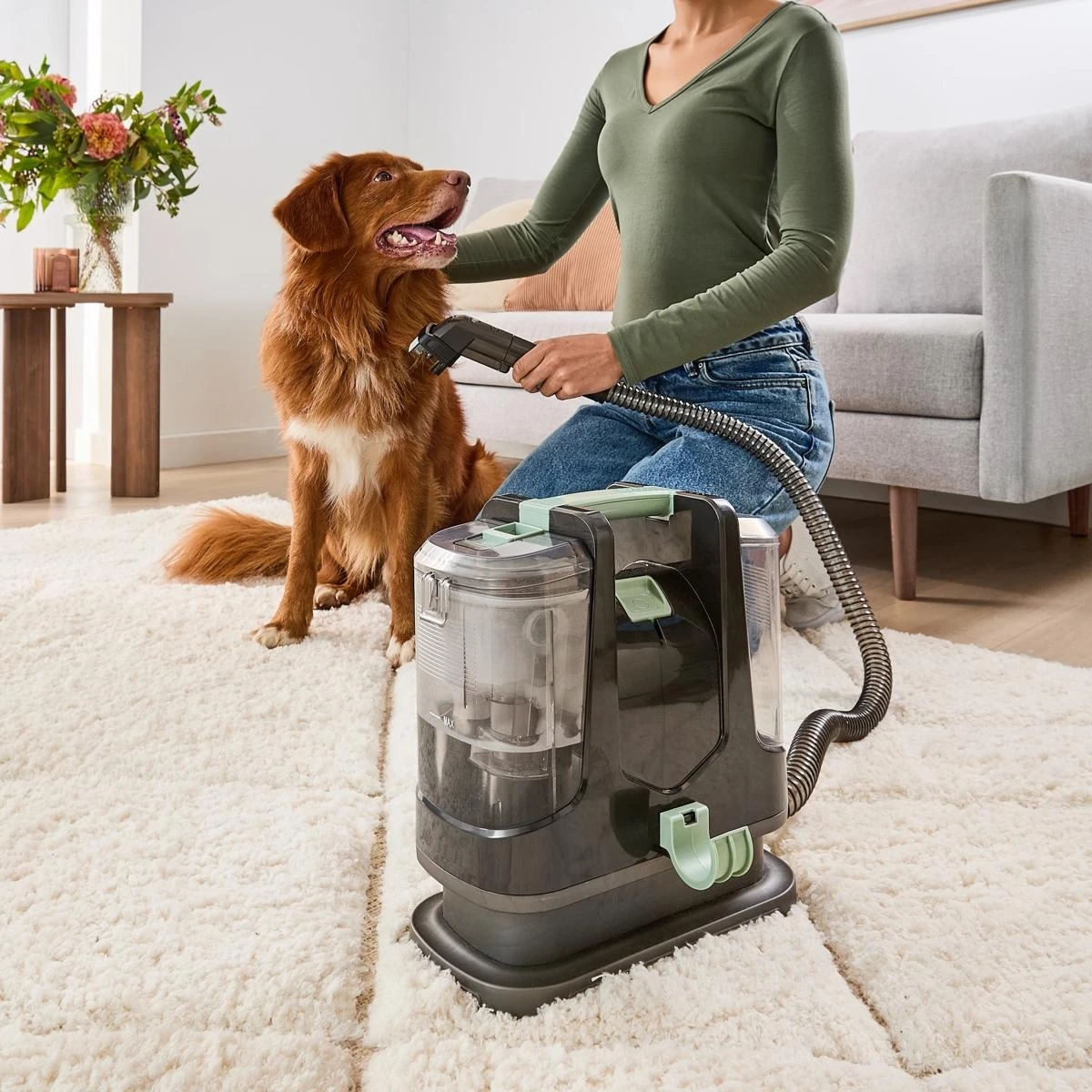 Spot Cleaner