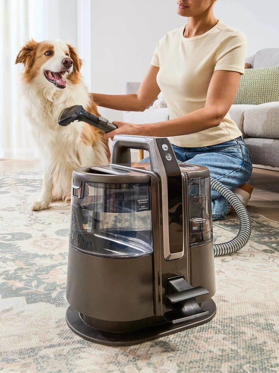 Cordless Spot Cleaner - Grey and B