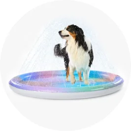 Pet Water Fountain