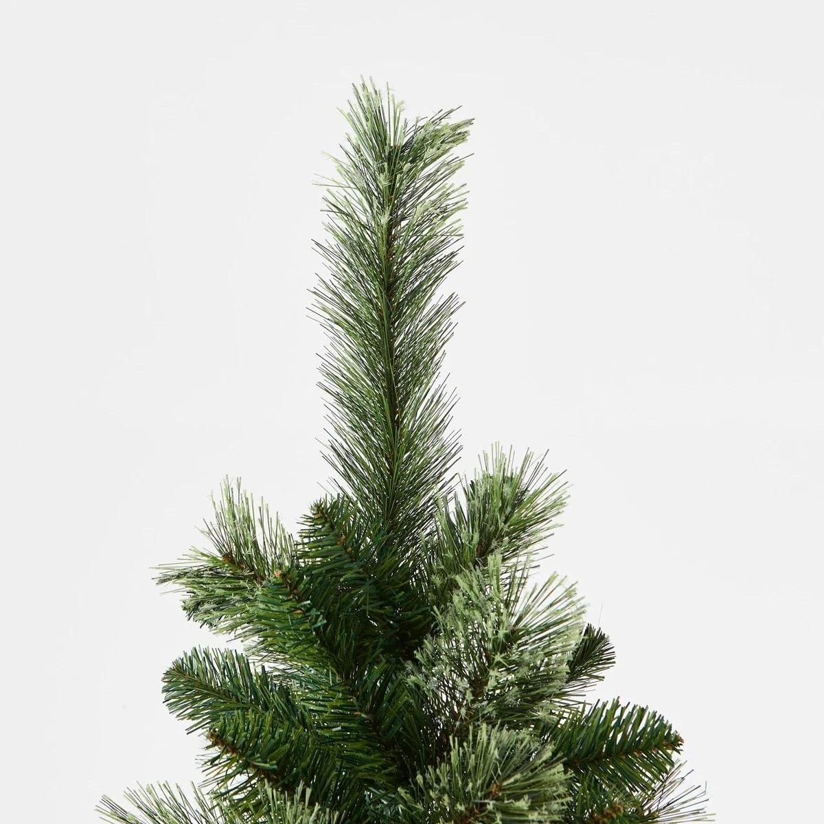 Green traditional Christmas trees 3