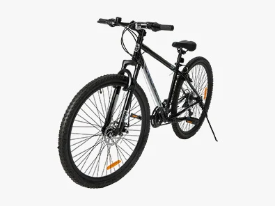 74cm Everest Mountain Bike