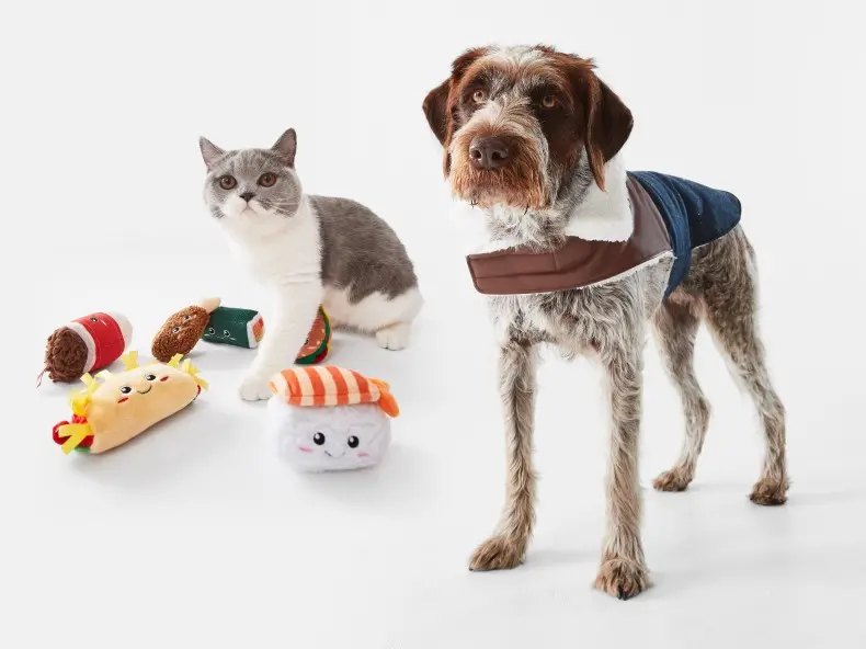 dog wearing a jacket and cat playing with soft plush cat toys