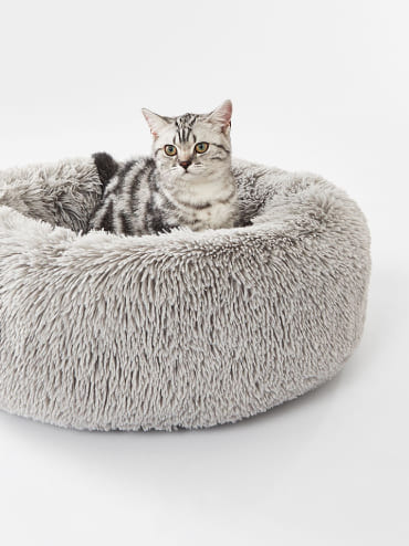 Heated cat bed kmart best sale