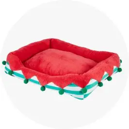 Christmas theme pet