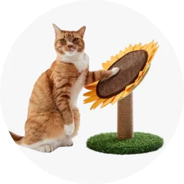 Cat Scratcher- Sunfl