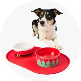 2 Pack Melamine Pet Bowl