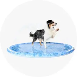 Pet Sprinkler Mat- L