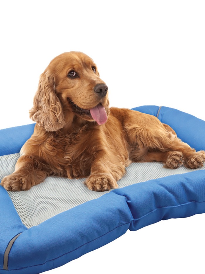 Dog best sale mats kmart