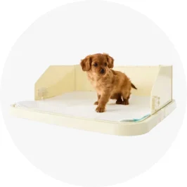 Pet Puppy Pad Tra