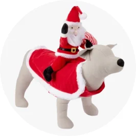 Pet Christmas Costume Santa Rid