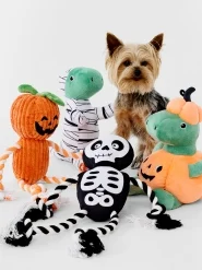 Halloween Pet Cost