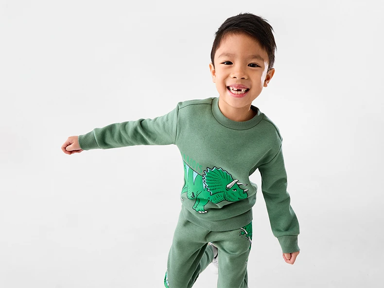 Boys Dinosaur Hoodie