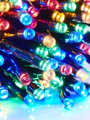 Christmas Li