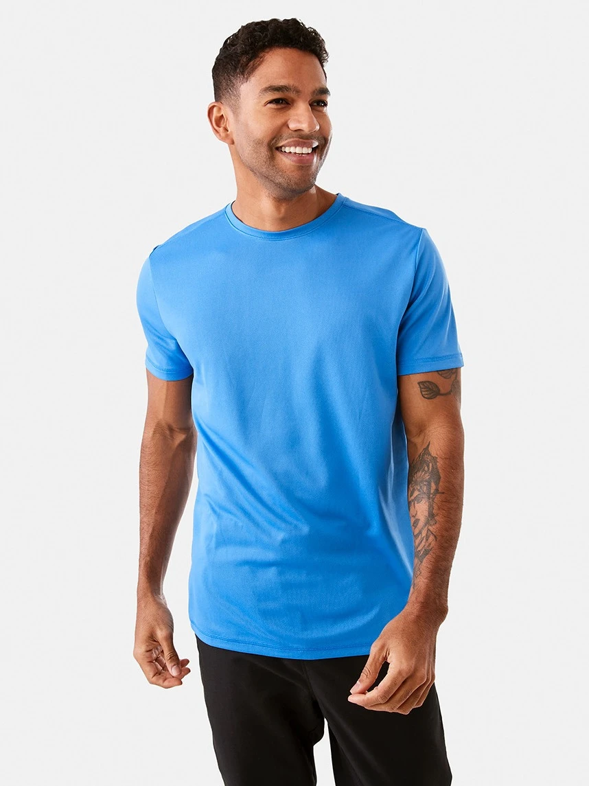 Active Mesh T-s