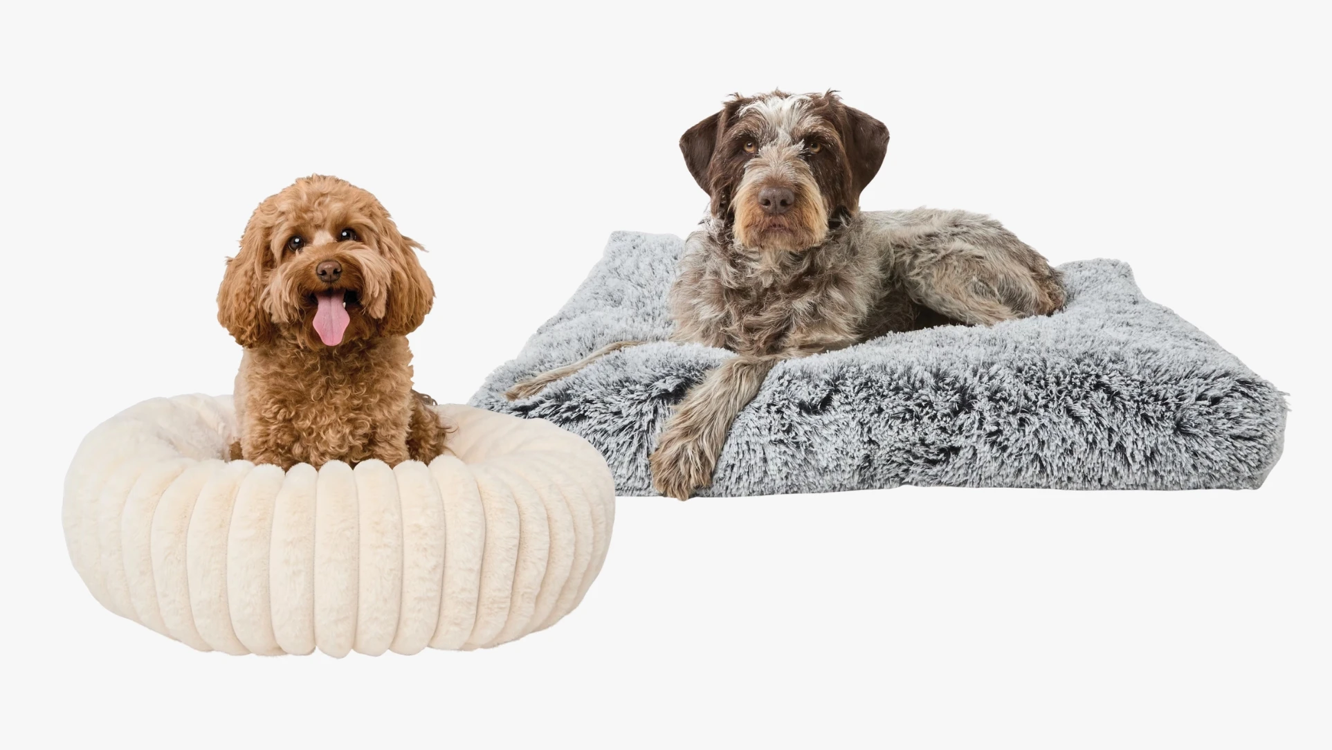 Pets Half Banner.jpg