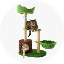 Cat Tower Ju