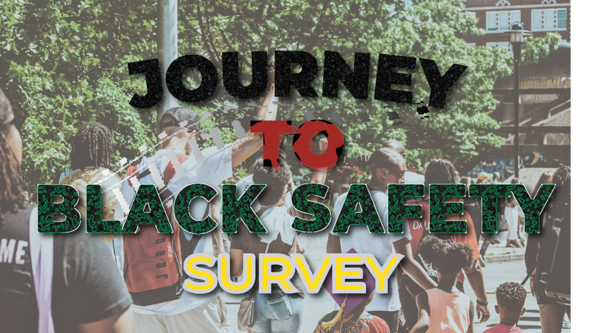 Journey to Black Safety Survey