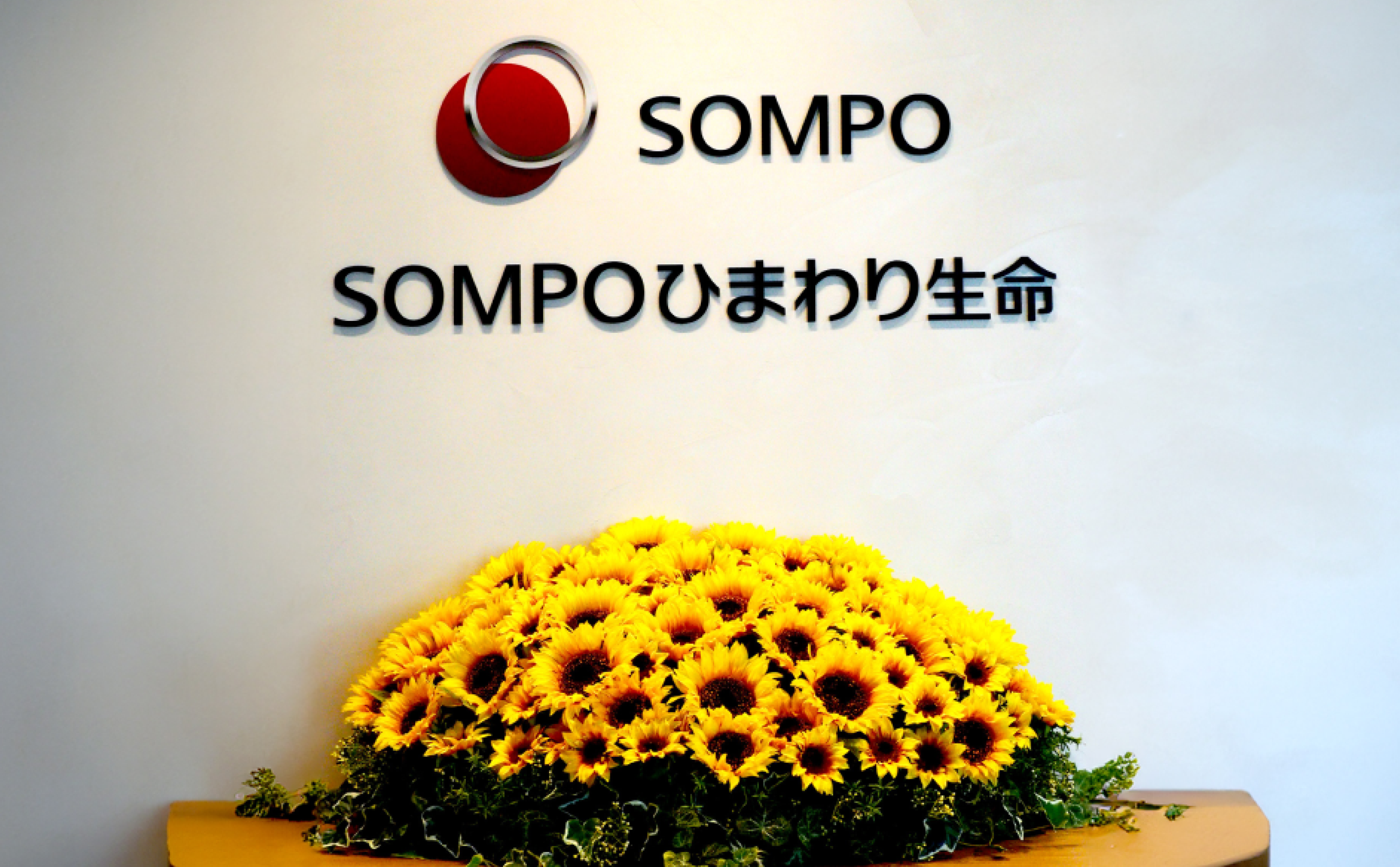 sompo ひまわり 生命