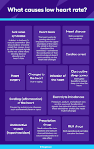 What Causes Low Heart Rate Related Conditions And Treatments
