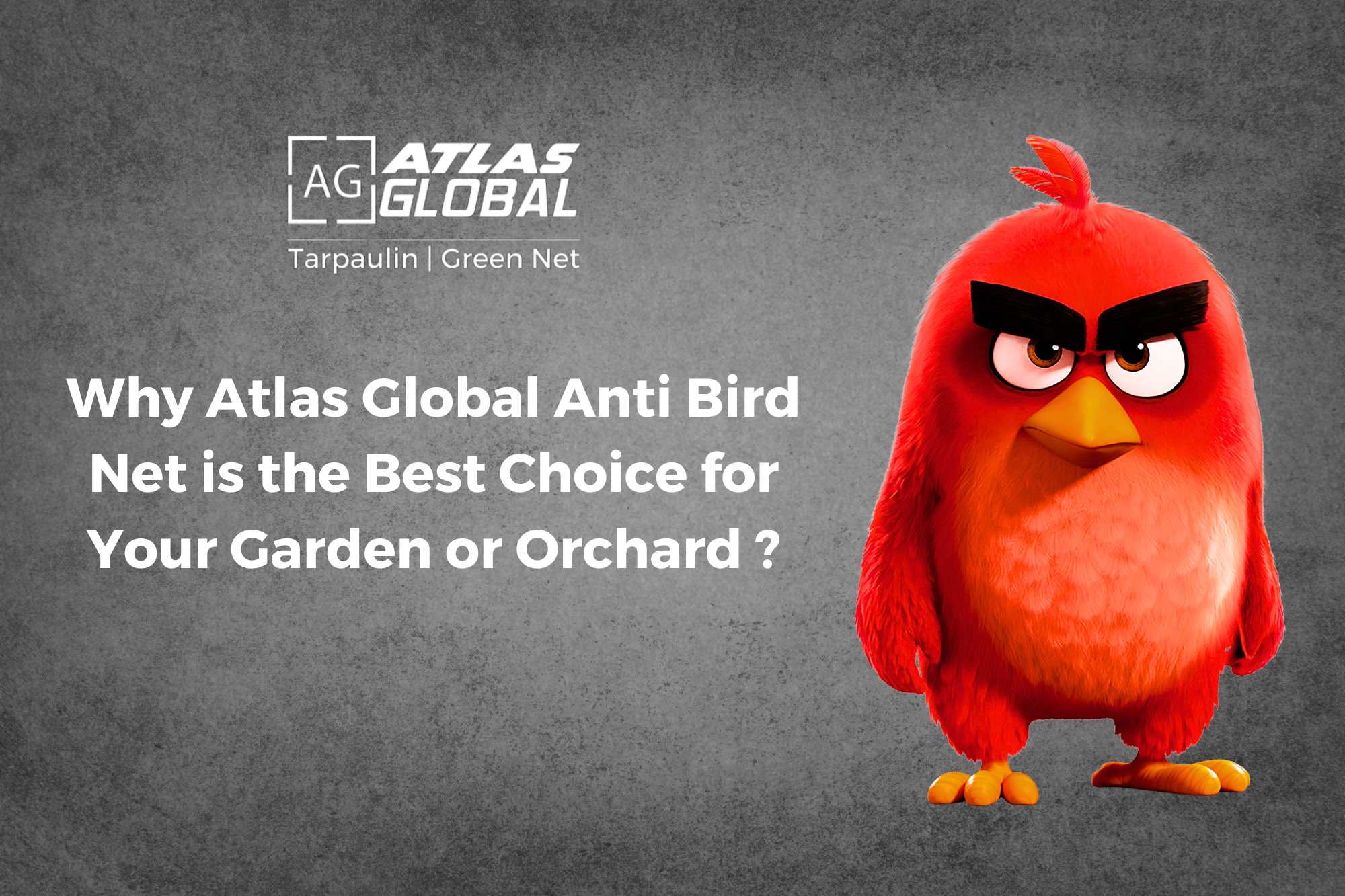 Why Atlas Global Anti Bird Net is the Best Choice for Your Garden or Orchard