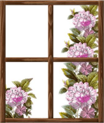 antoinette love unnamed-10