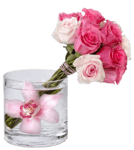 antoinette love 0 50419 19f1284 L
