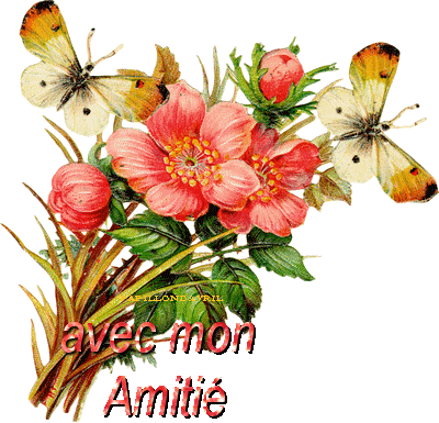 antoinette love gif ob 8cd6dd f6a250d5