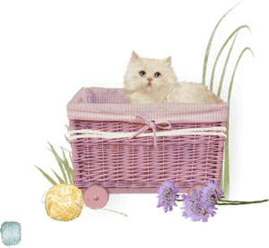 antoinette love 2116198