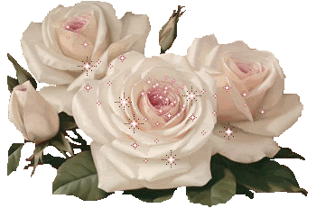 antoinette love gif pink rose gif
