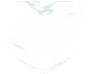 antoinette love bullesruse1