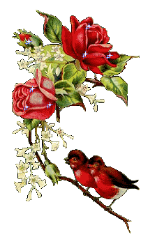 antoinette love gif 6b9ae7534fa4405fb7304999b0f86e1c