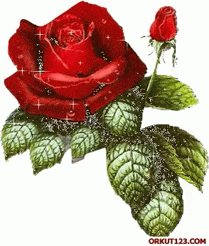 antoinette love gif tenor