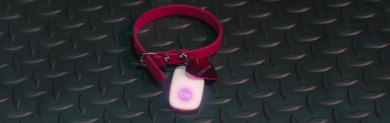 A Tile pro attached to a cat collar