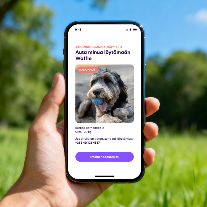 Lost Pet Alerts