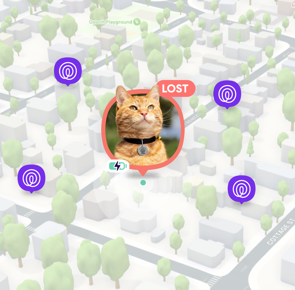 Pet Tag PDP 672x660 3 - Pet Finder Network