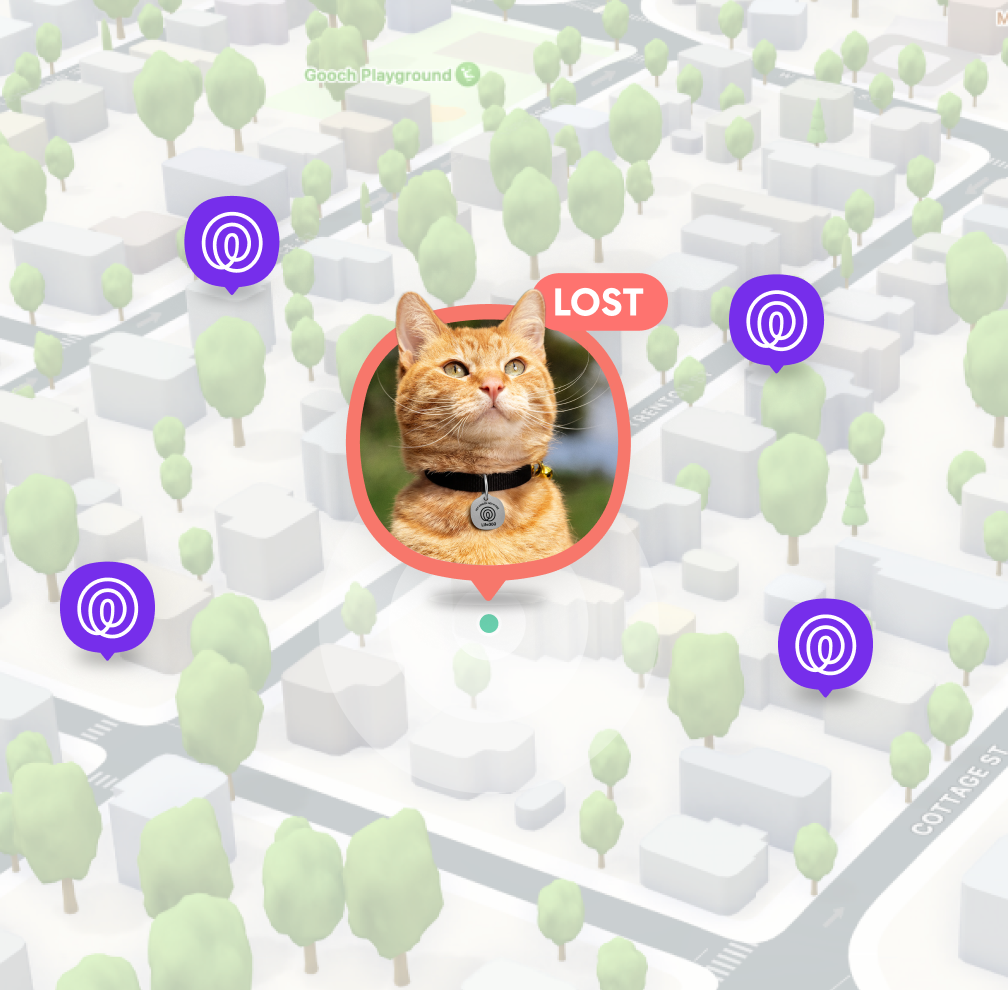 Pet Tag PDP 672x660 3 - Pet Finder Network