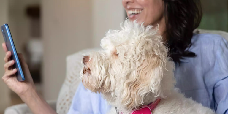 Bark Phone vs Life360: Which One Is Best For Your Family