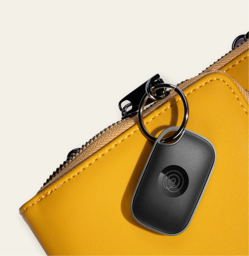 lost bag 1 5x