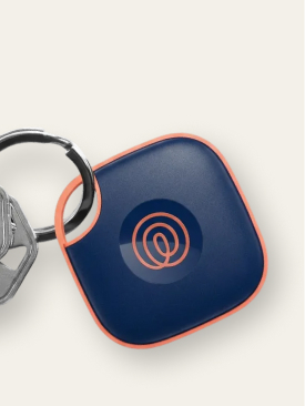Lost key Mobile