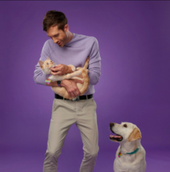 Tile for Pets: The Best Bluetooth Tracker for Pets