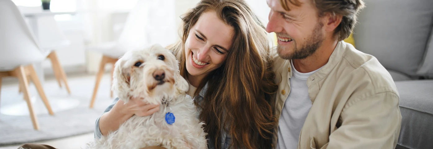 Global Pet Parenthood Report M