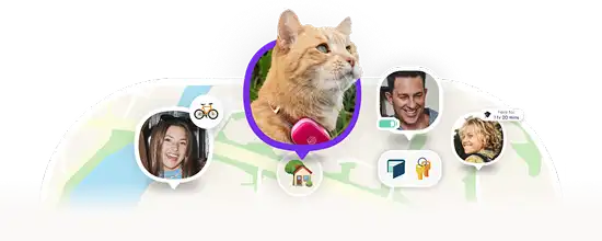 Cat with pink punch Life360 GPS pet tracker on map with family