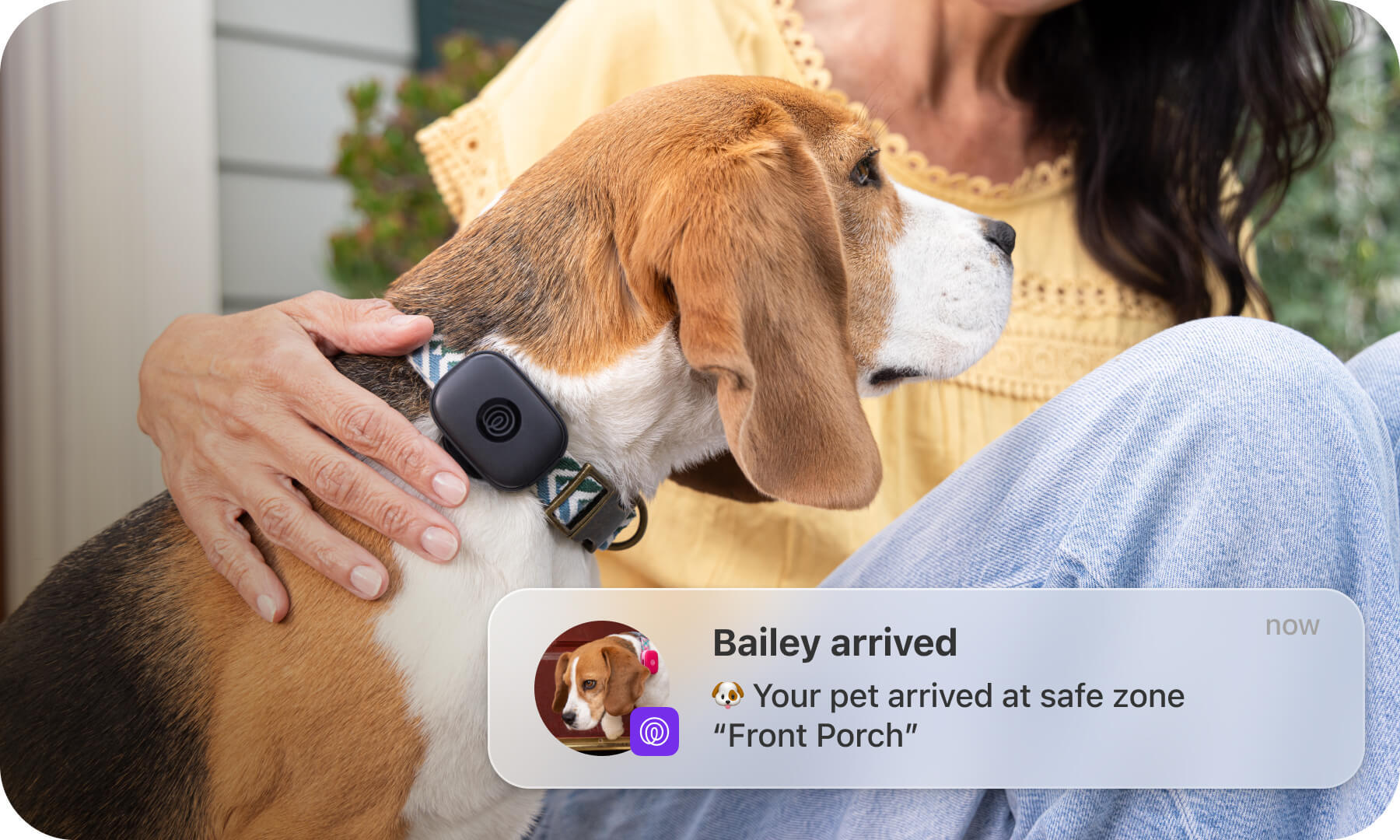 Pet GPS (4)