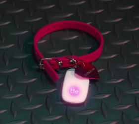 Tile Helps Doja Cat Find Kitty in New Music Vid “Get Into It YUH”