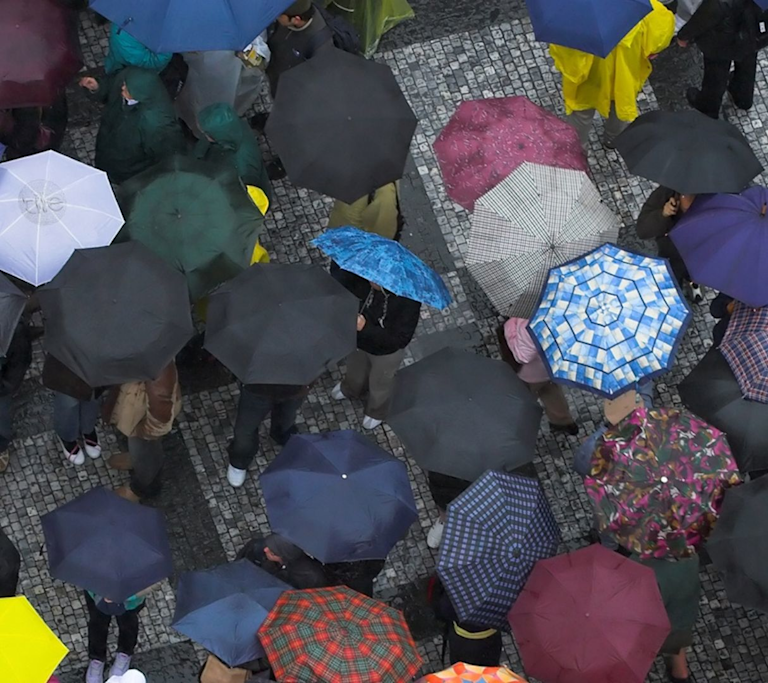 Don't Get Caught in the Rain Without This Umbrella Finder