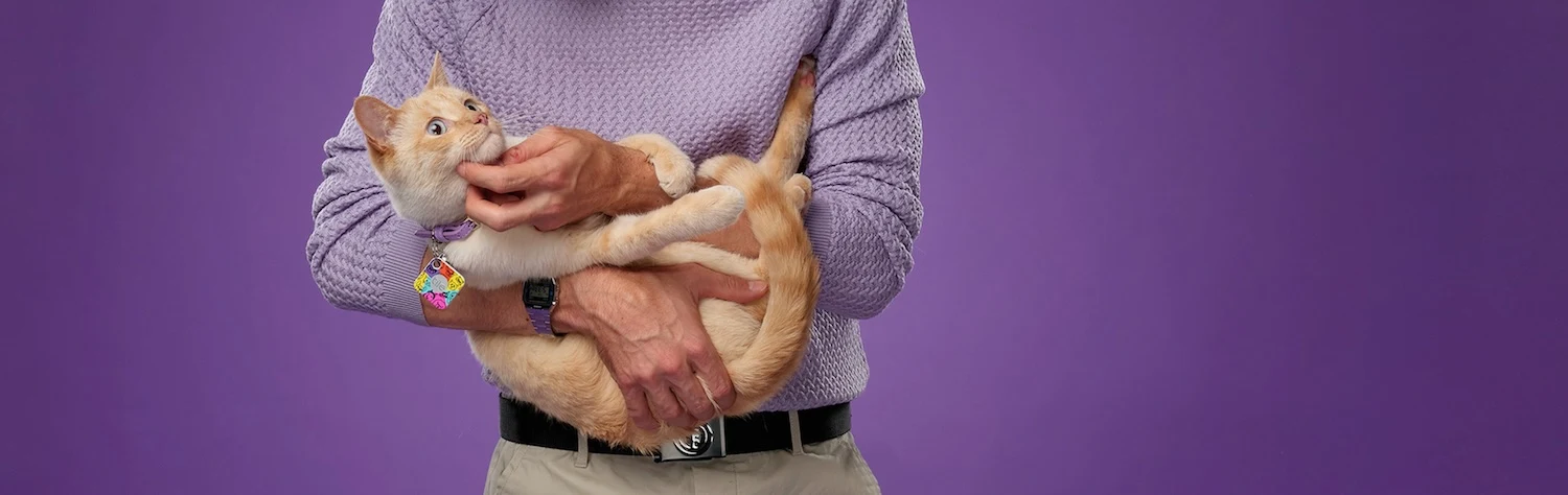 A person carrying a cat with a Tile attached to its' collar