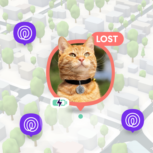Pet Tag PDP Highlights 340x340 - Pet Finder Network